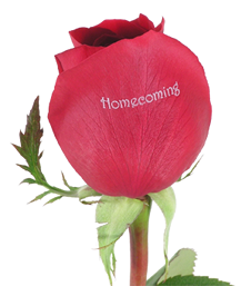 red_homecoming_rose